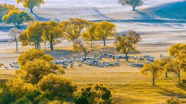 永崋证券 适合9月出发的旅行地！这6个地方即将上演最美的秋色，美得不像话！