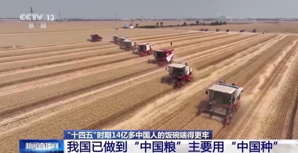 银河配资 人均粮食占有量达500公斤 14亿多中国人的饭碗端得更牢